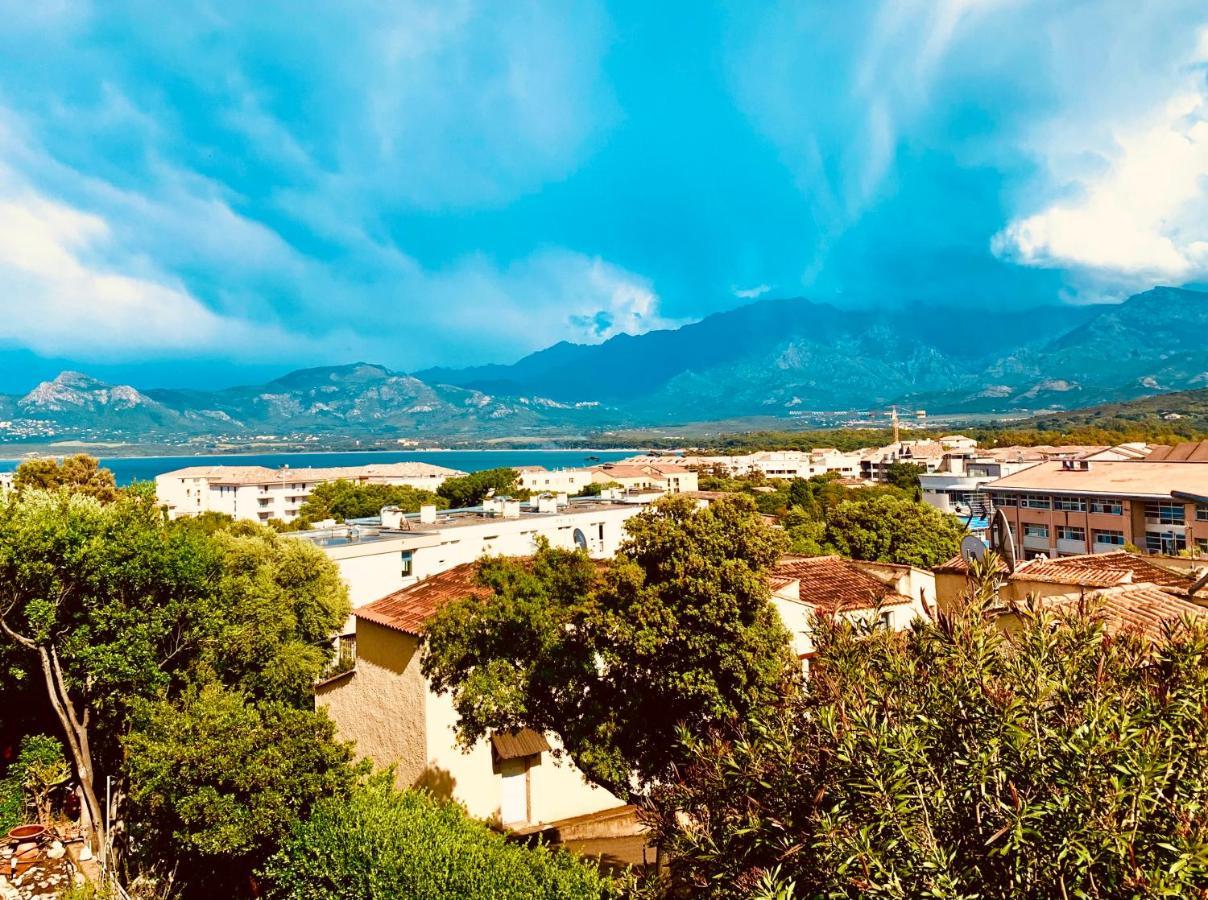 Les Collines Apartment Calvi (Corsica)
